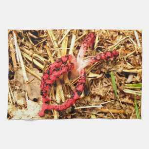 Octopus Stinkhorn Tea Towel Theedoek
