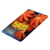 Octopus Tako たこ Tsukiji vismarkt, Tokio, Japan Magneet (Linkerzijde)