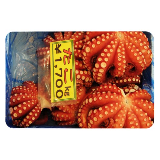 Octopus Tako たこ Tsukiji vismarkt, Tokio, Japan Magneet (Horizontaal)