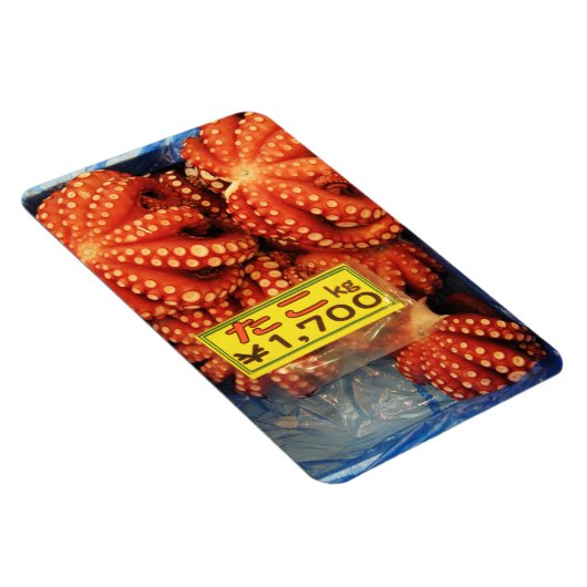 Octopus Tako たこ Tsukiji vismarkt, Tokio, Japan Magneet (Rechterzijde)