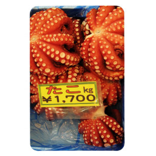 Octopus Tako たこ Tsukiji vismarkt, Tokio, Japan Magneet