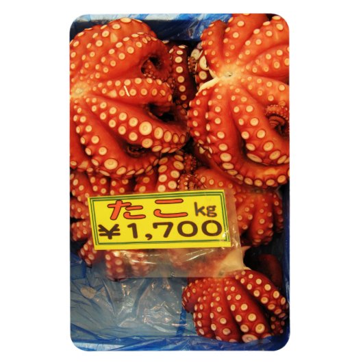 Octopus Tako たこ Tsukiji vismarkt, Tokio, Japan Magneet (Verticaal)