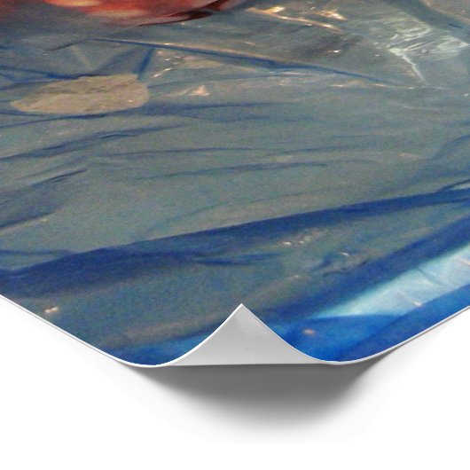 Octopus Tako た Tsukiji Fish Market, Tokyo, Japan Poster (Hoek)