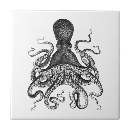 octopus tegeltje (Voorkant)