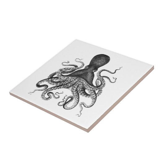  octopus tegeltje (Zijkant)