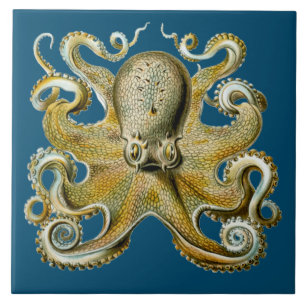 Octopus Tegeltje