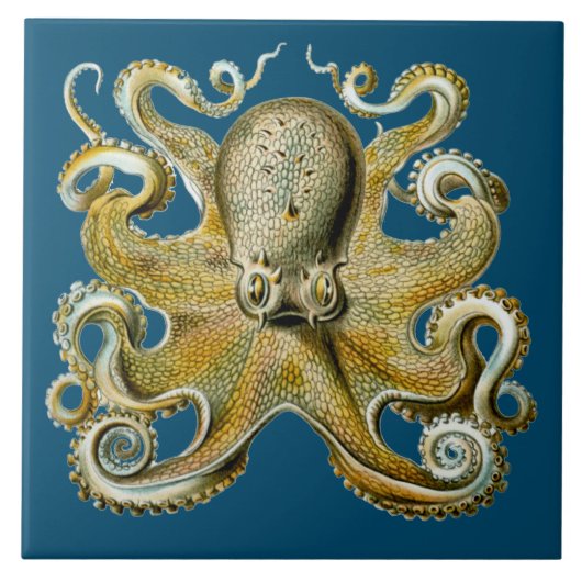 Octopus Tegeltje (Voorkant)