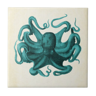 octopus tegeltje