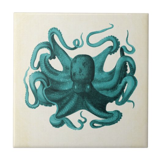 octopus tegeltje (Voorkant)