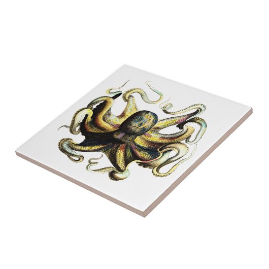 Octopus Tegeltje (Zijkant)