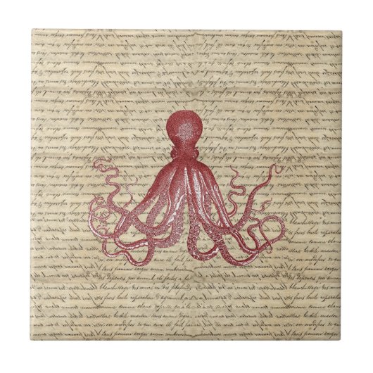  octopus tegeltje (Voorkant)
