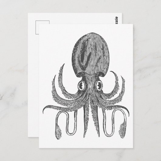 octopus Tekening in zwart-wit Briefkaart (Voorkant / Achterkant)