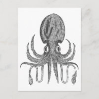  octopus Tekening in zwart-wit