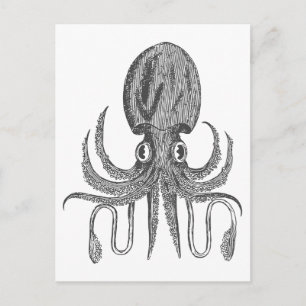  octopus Tekening in zwart-wit Briefkaart