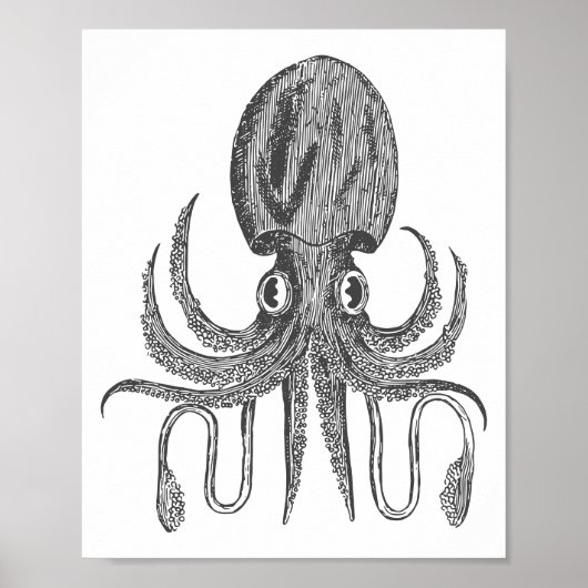  octopus Tekening in zwart-wit Poster (Voorkant)
