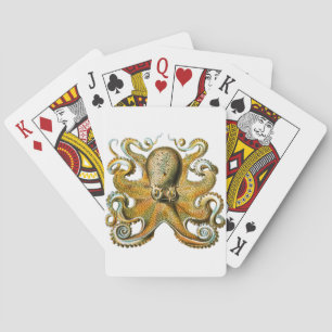 Octopus Tekening Tentakels Pokerkaarten