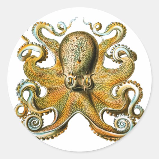 Octopus Tekening Tentakels Ronde Sticker (Voorkant)