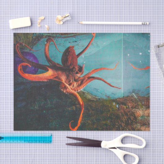 Octopus Tissuepapier