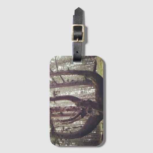 Octopus Tree, Cape Meares, Oregon Bagagelabel (Voorkant (verticaal))