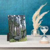 Octopus Tree, Cape Meares, Oregon Fotoplaat (Zijkant)