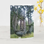 Octopus Tree, Cape Meares, Oregon Kaart (Gele Bloem)