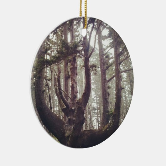 Octopus Tree, Cape Meares, Oregon Keramisch Ornament (Rechts)