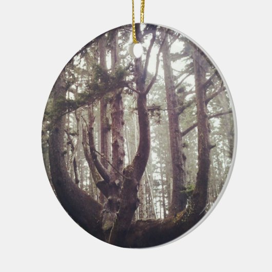 Octopus Tree, Cape Meares, Oregon Keramisch Ornament (Links)