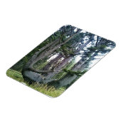 Octopus Tree, Cape Meares, Oregon Magneet (Linkerzijde)