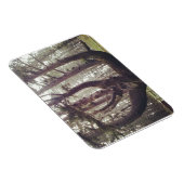 Octopus Tree, Cape Meares, Oregon Magneet (Rechterzijde)