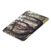 Octopus Tree, Cape Meares, Oregon Magneet (Linkerzijde)