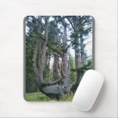 Octopus Tree, Cape Meares, Oregon Muismat (Met muis)