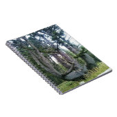 Octopus Tree, Cape Meares, Oregon Notitieboek (Rechterzijde)