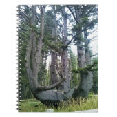 Octopus Tree, Cape Meares, Oregon Notitieboek (Voorkant)