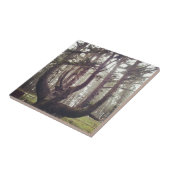 Octopus Tree, Cape Meares, Oregon Tegeltje (Zijkant)