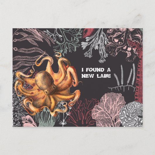 Octopus Tuin Wijziging Adres Briefkaart (Voorkant)