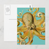 Octopus van Ernst Haeckel Briefkaart (Voorkant / Achterkant)