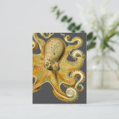 Octopus van Ernst Haeckel Briefkaart (Staand voorkant)