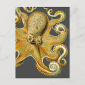 Octopus van Ernst Haeckel Briefkaart (Voorkant)