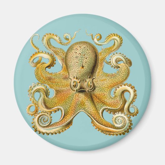 Octopus van Ernst Haeckel Magneet (Voorkant)