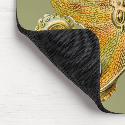 Octopus van Ernst Haeckel Muismat (Hoek)