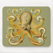 Octopus van Ernst Haeckel Muismat (Voorkant)