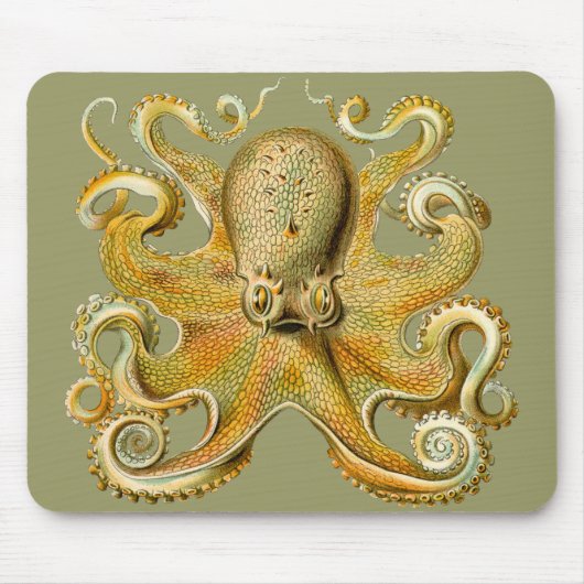Octopus van Ernst Haeckel Muismat (Voorkant)
