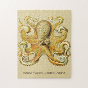 Octopus van Ernst Haeckel  Ocean Life Legpuzzel
