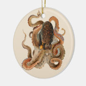 Octopus Vulgaris, Dierentuin Mariene Dieren Keramisch Ornament (Links)