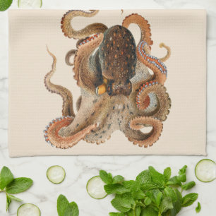Octopus Vulgaris, Vintage Mariene Levensdieren Theedoek