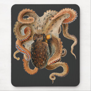 Octopus Vulgaris, Vintage Zeeleven Dieren Muismat