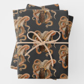 octopus Vulgaris, zeedieren Inpakpapier Vel (In situ)