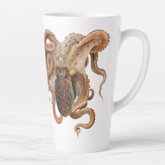 octopus Vulgaris, zeedieren Latte Mok (Rechts)