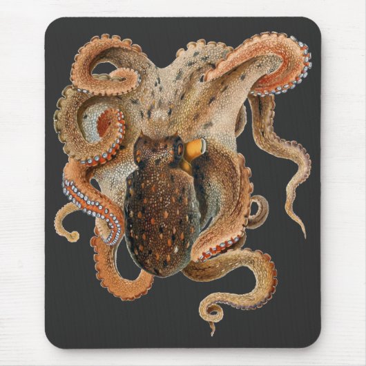 octopus Vulgaris, zeedieren Muismat (Voorkant)