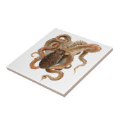  octopus Vulgaris, zeedieren Tegeltje (Zijkant)